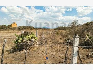 Terreno en Venta en San Pedro Pareo Pátzcuaro