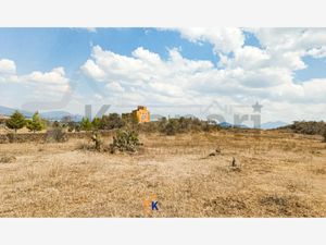 Terreno en Venta en San Pedro Pareo Pátzcuaro