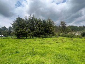 Terreno en Venta en La Joya Pátzcuaro