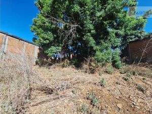 Terreno en Venta en Patzcuaro Centro Pátzcuaro