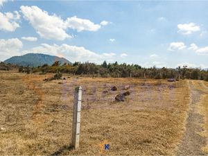 Terreno en Venta en San Pedro Pareo Pátzcuaro