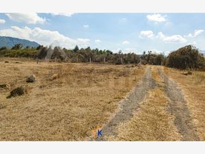 Terreno en Venta en San Pedro Pareo Pátzcuaro