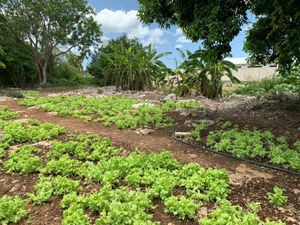 TERRENO EN VENTA  XCANATUN NORTE DE MERIDA