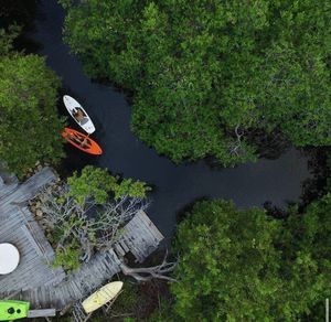 VENTA Hotel Ecoturistico en Tulum con Cenote y Laguna