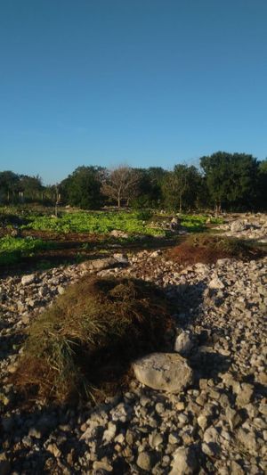 TERRENO EN VENTA  XCANATUN NORTE DE MERIDA