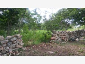 Terreno en Venta en Izamal Izamal