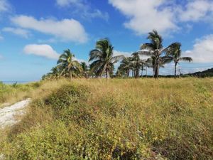 Terreno en Venta en Champoton Centro Champotón