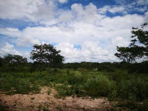 Terreno en Venta en Izamal Izamal