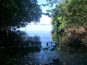 Terreno en Venta en Chacahua Villa de Tututepec