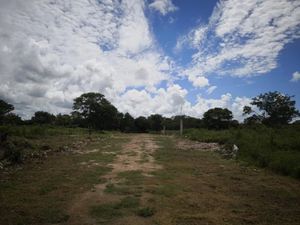 Terreno en Venta en Izamal Izamal