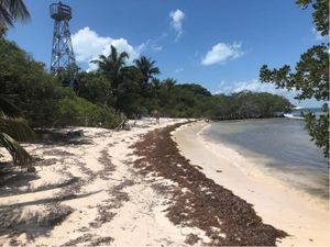 Terreno en Venta en Andres Quintana Roo Felipe Carrillo Puerto