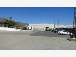 Nave en Renta en Ciudad Industrial Tijuana