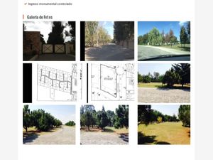 Terreno en Venta en Los Sauces Zapopan