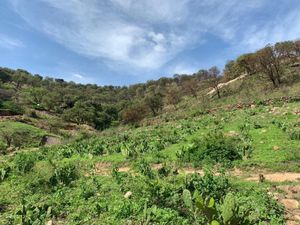 Terreno en Venta en San Esteban Zapopan