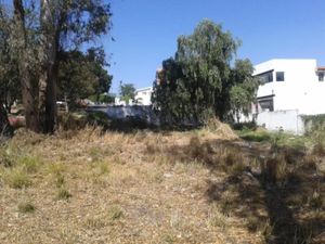 Terreno en Venta en Las Cañadas (Bosques de San Isidro) Zapopan