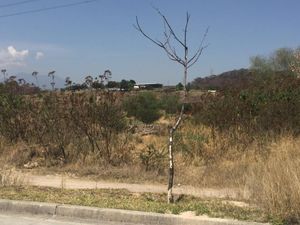 Terreno en Venta en La Venta del Astillero Zapopan