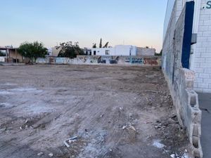 Terreno en Renta en Las Arboledas Torreón