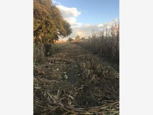 Terreno en Venta en La Magdalena San Pedro Cholula