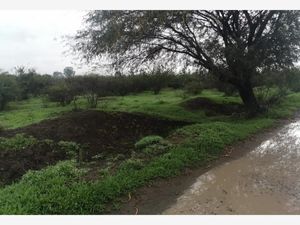 Terreno en Venta en La Purisima Querétaro