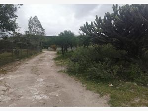 Terreno en Venta en El Saucillo Colón