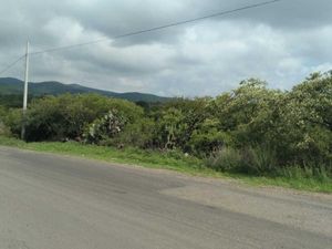 Terreno en Venta en Pie de Gallo Querétaro