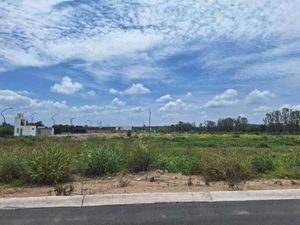 Terreno en Venta en San Felipe Calichar Corregidora