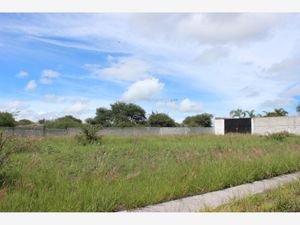 Finca/Rancho en Venta en Santa Rosa de Jauregui Querétaro