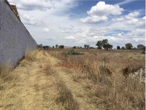 Terreno en Venta en San Miguel de Allende Centro San Miguel de Allende