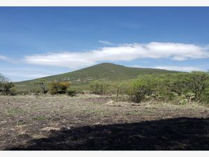 Terreno en Venta en Pie de Gallo Querétaro