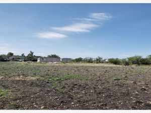 Terreno en Venta en Pie de Gallo Querétaro