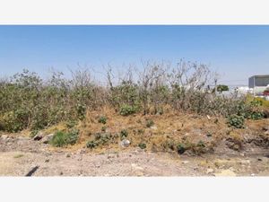 Terreno en Renta en Parque Industrial el Marqués El Marqués