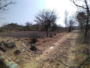 Terreno en Venta en San Isidro Buenavista Querétaro