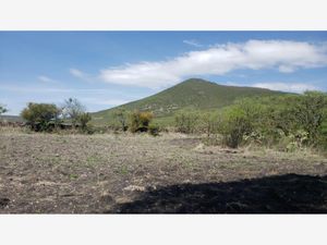 Terreno en Venta en Pie de Gallo Querétaro