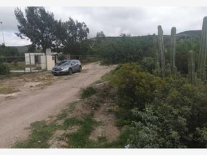 Terreno en Venta en El Saucillo Colón