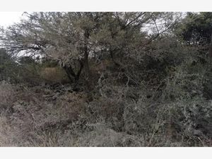 Terreno en Venta en Tlacote El Bajo Querétaro