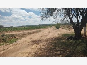 Terreno en Venta en San Jose Navajas El Marqués