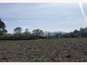 Terreno en Venta en Pie de Gallo Querétaro