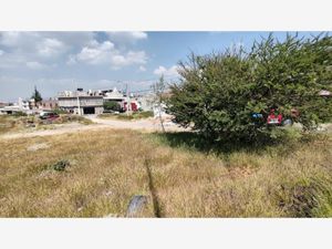 Terreno en Venta en Lázaro Cárdenas Querétaro