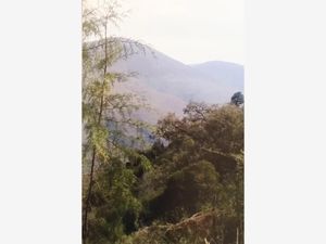 Terreno en Venta en Centro Pinal de Amoles