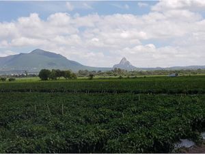 Terreno en Venta en La Estancia San Juan del Río