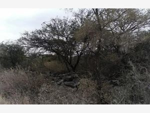 Terreno en Venta en Tlacote El Bajo Querétaro