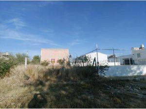 Terreno en Venta en Los Olivos Dolores Hidalgo Cuna de la Independencia Nacional