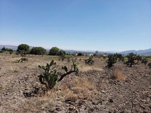 Terreno en Venta en Infonavit Pedregoso San Juan del Río