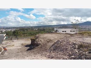 Terreno en Renta en Emiliano Zapata Corregidora