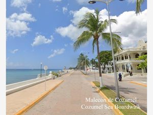 Terreno en Venta en Cozumel Centro Cozumel