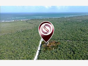 Departamento en Venta en Akumal Tulum