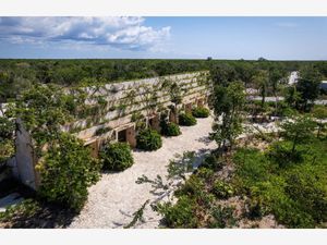 Terreno en Venta en Tulum Centro Tulum