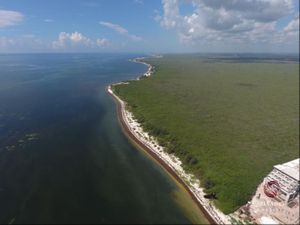 Terreno en Venta en Puerto Morelos Puerto Morelos