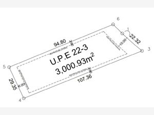 Terreno en Venta en Aldea Zama Tulum