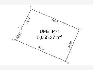 Terreno en Venta en Aldea Zama Tulum